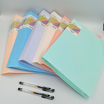 Plastic A4 Size Display File Folder  A447