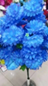 
48 earth daisies 48头大地菊