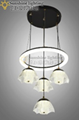 Hanging Light A 10002-4+1bk 3 color