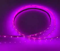 Strip light  2835-120D 6.8MM Pink