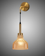 hanging light D313-1
AMBER
